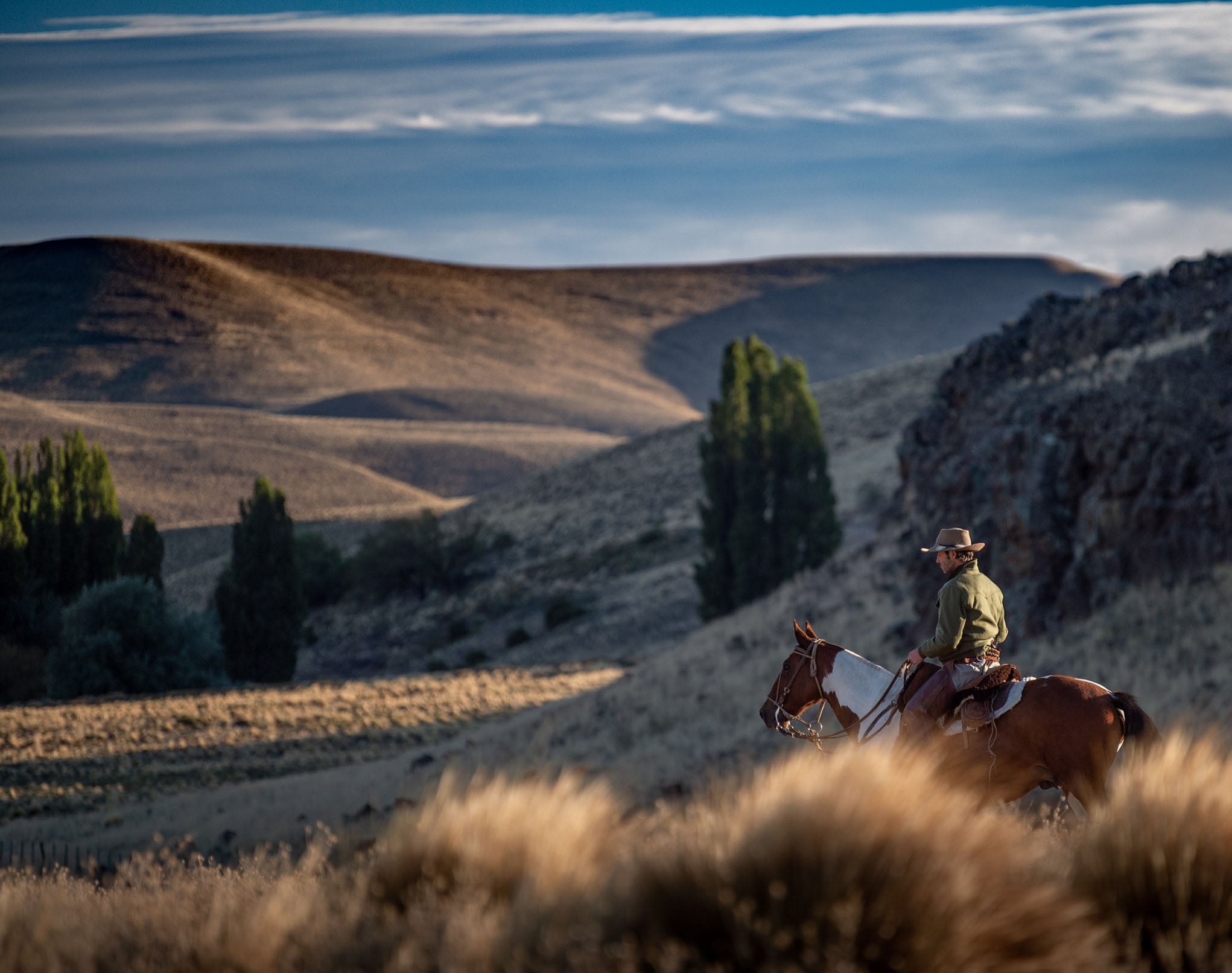 Bomber Jacket Gaucho - Merino wool and Sheep suede