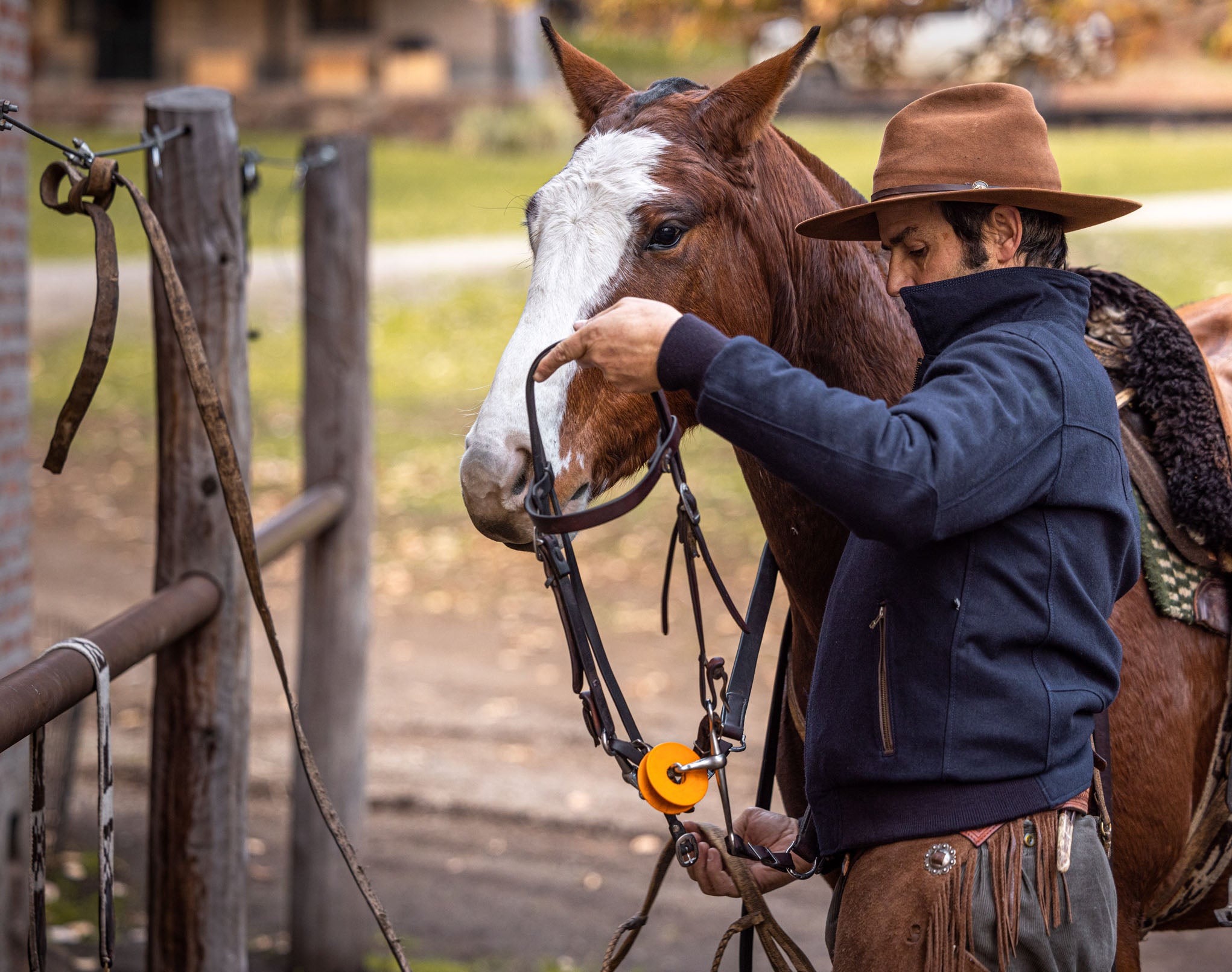 Bomber Jacket Gaucho - Wool