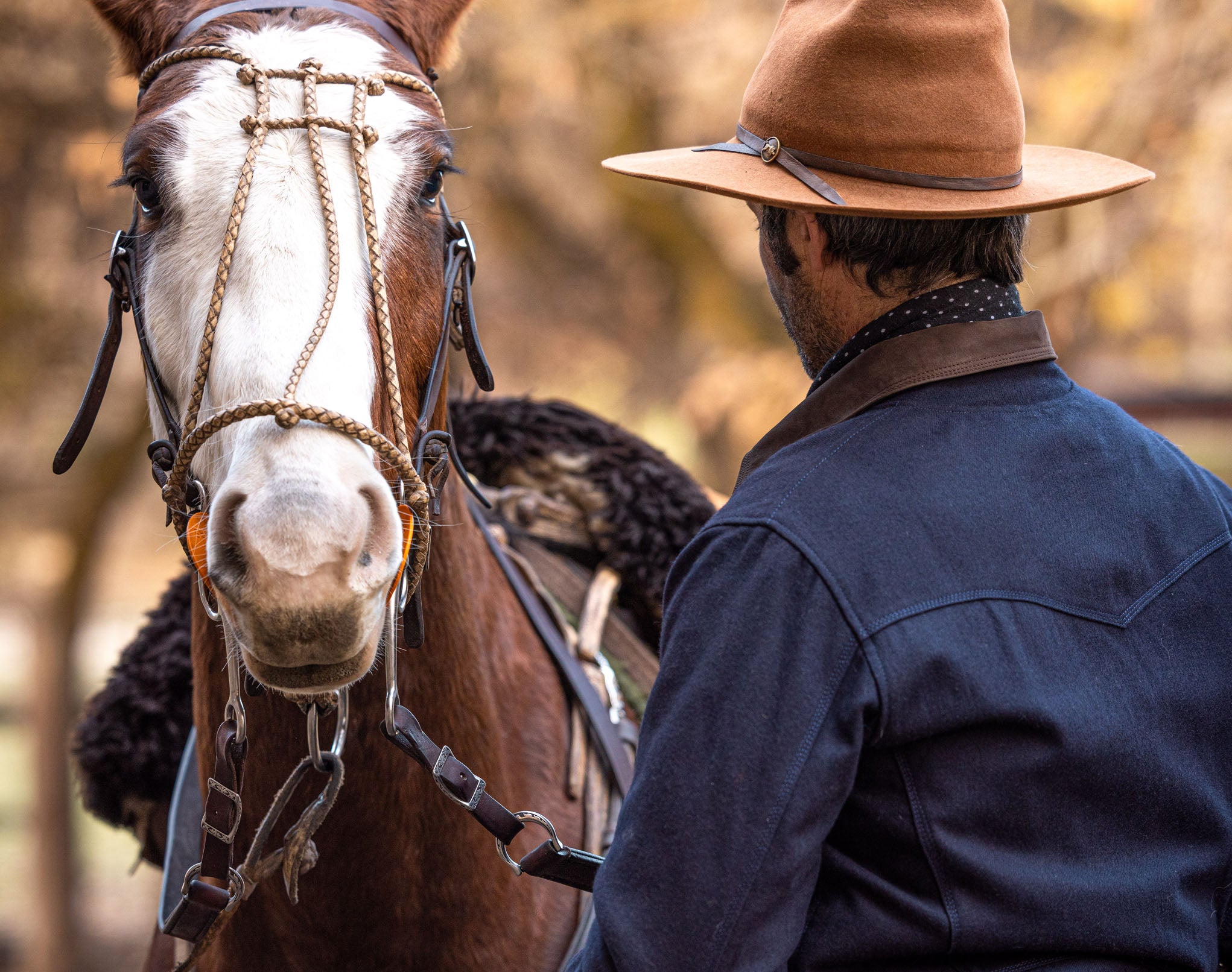 Bomber Jacket Gaucho - Wool