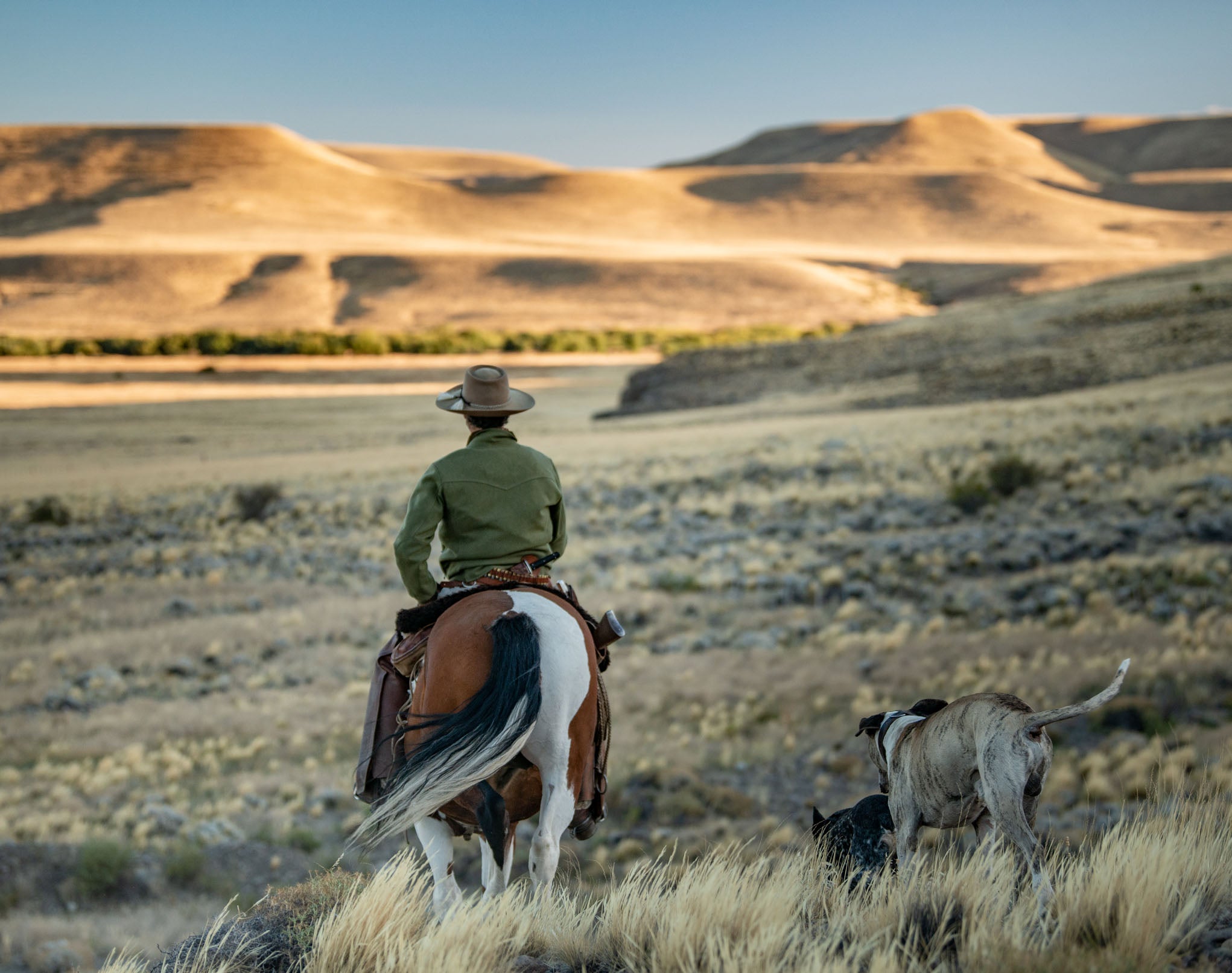 Bomber Jacket Gaucho - Merino wool and Sheep suede